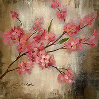 100cm x 100cm Cherry Blossom I von Vassileva, Silvia