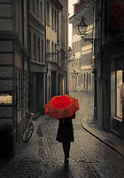 70cm x 100cm Red Rain von Stefano Corso
