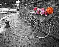 100cm x 80cm Bicycle of Love I von Assaf Frank