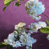 100cm x 100cm Blossom I von Rick Novak