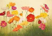 100cm x 70cm Sunlit Poppies von Janelle Kroner