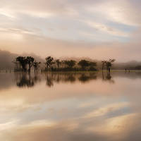 100cm x 100cm Dawn Mist on the Amazon von Andy Mumford