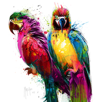 70cm x 70cm Tropical Colors I von Patrice Murciano