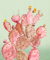 100cm x 120cm Pink Cacti von Aimee Wilson