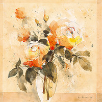 100cm x 100cm Roses IV von ROMO-Rolf Morschhäuser,