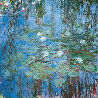 100cm x 100cm Seerosen von Monet,Claude