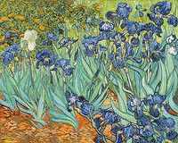 140cm x 112cm Iris von van Gogh,Vincent