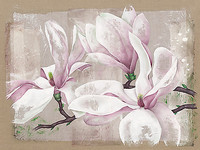 150cm x 112.5cm Magnolia von Cadoret,Virginie