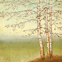 100cm x 100cm Golden Birch II with Blue Sky von Wiens, James