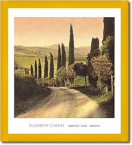 Country Lane, Tuscany von CARMEL,ELIZABET