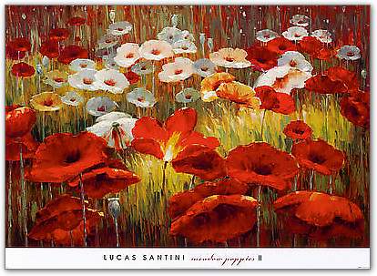 Meadow Poppies II von SANTINI,LUCAS