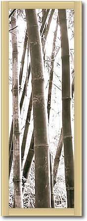 Bamboo Grove IV von YAN,DOUGLAS