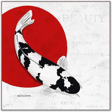 Splashing Beauty Shiro Utsuri von Nicole Gruhn