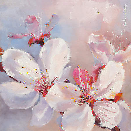 Prunus en fleurs I von Mertian de Muller,Emmanuelle