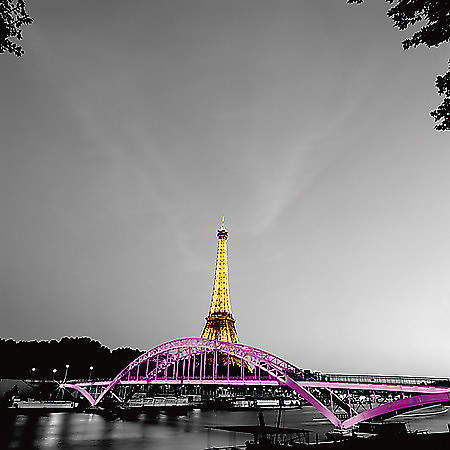 Shiny Eiffel von Valverde, Anne