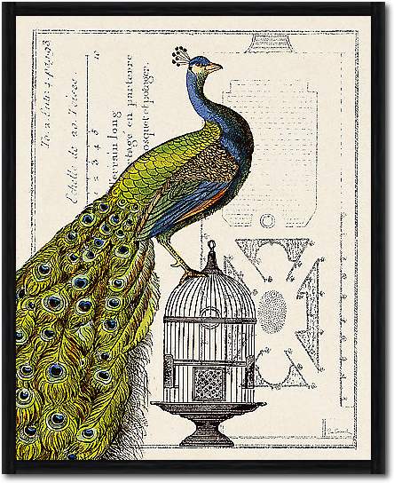 Peacock Birdcage I von Schlabach, Sue