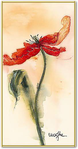 Tulipe II von Marthe, 