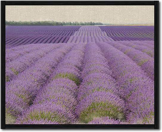 Lavender on Linen 2 von Bret Straehling