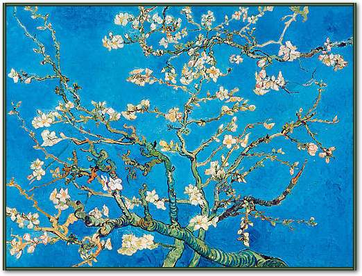 Almond Blossom San Remy 1890 von Vincent Van Gogh