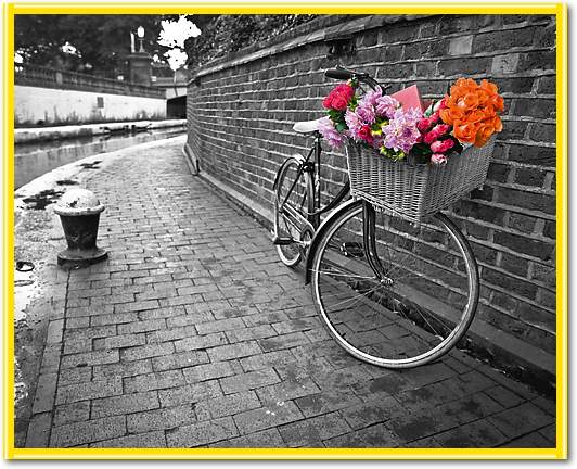 Bicycle of Love I von Assaf Frank