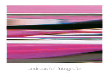 Fotografie III                   von Andreas Feil