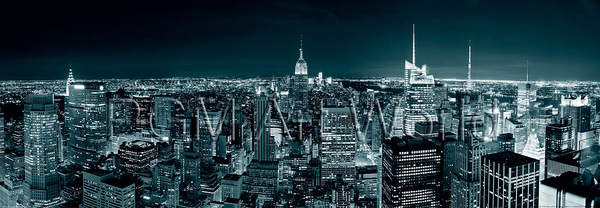 Manhatten Skyline at Night       von Shutterstock