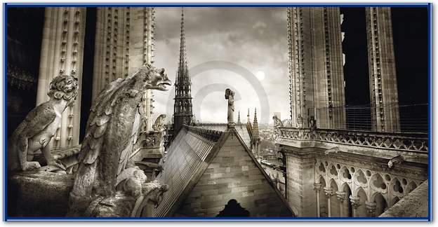 Paris-Gargouilles de Notre Dame  von Stéphane Rey-Gorrez