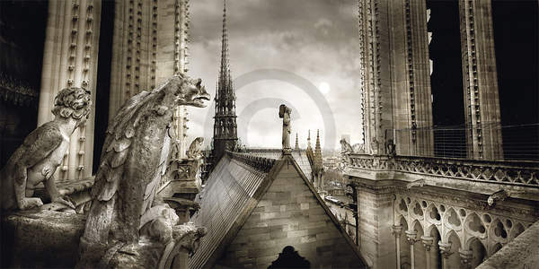 Paris-Gargouilles de Notre Dame  von Stéphane Rey-Gorrez