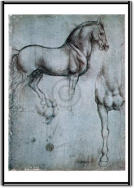 Studio di cavalli                von Leonardo Da Vinci