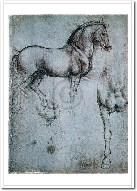 Studio di cavalli                von Leonardo Da Vinci