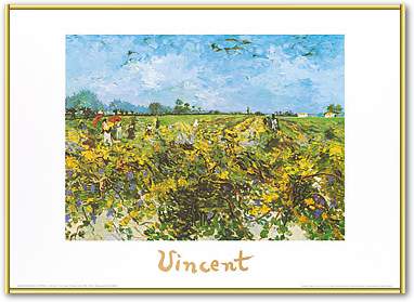 The green vineyard               von Vincent Van Gogh
