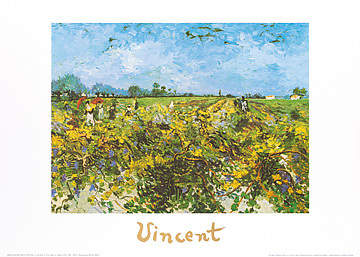The green vineyard               von Vincent Van Gogh