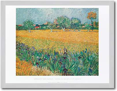 Vista di Arles con irises        von Vincent Van Gogh