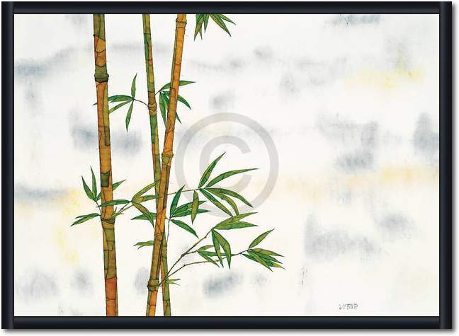 Bambus                           von Michael Ferner