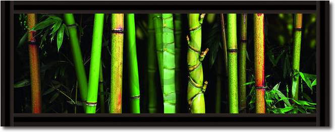 Bamboo                           von Roberto Scaroni