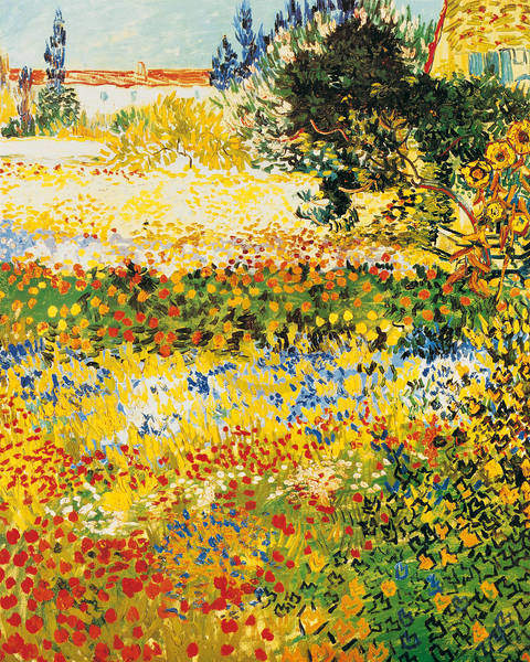Blumengarten                     von Vincent Van Gogh