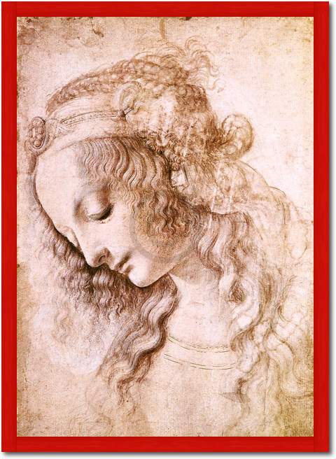 Frauenkopf                       von Leonardo Da Vinci