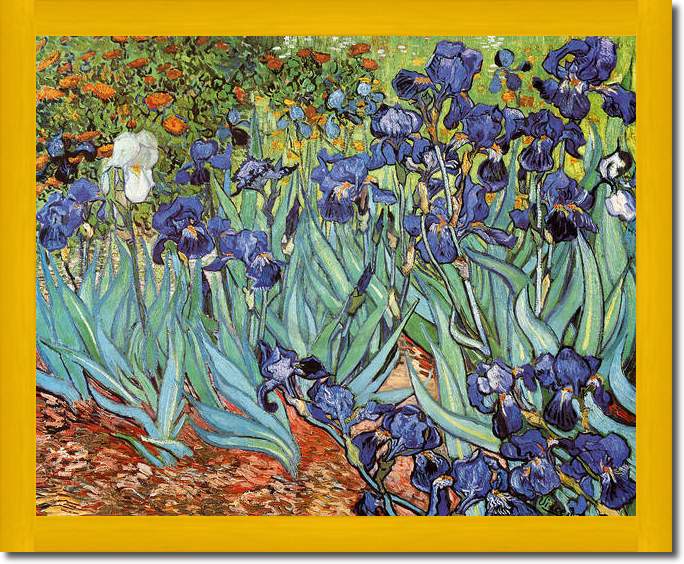 Iris                             von Vincent Van Gogh