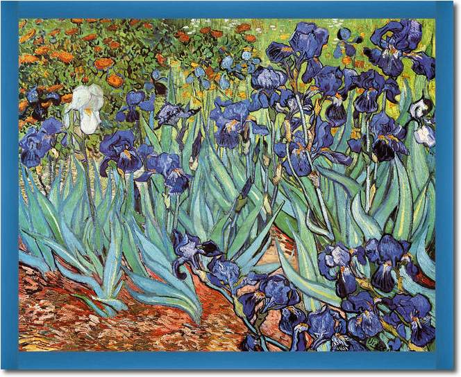 Iris                             von Vincent Van Gogh