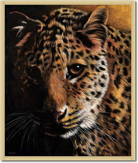 Leopard                          von Jutta Plath