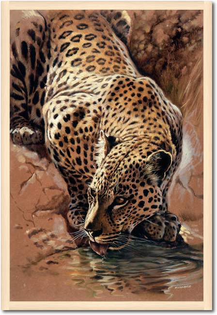 Leopard's Sundowner              von Renato Casaro