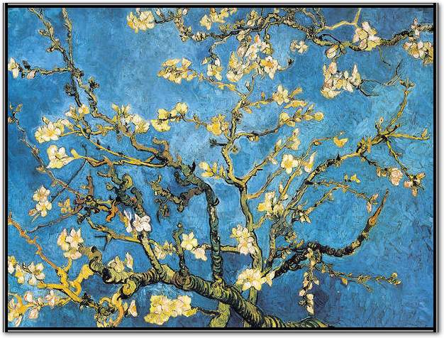 Mandelbaumzweig                  von Vincent Van Gogh