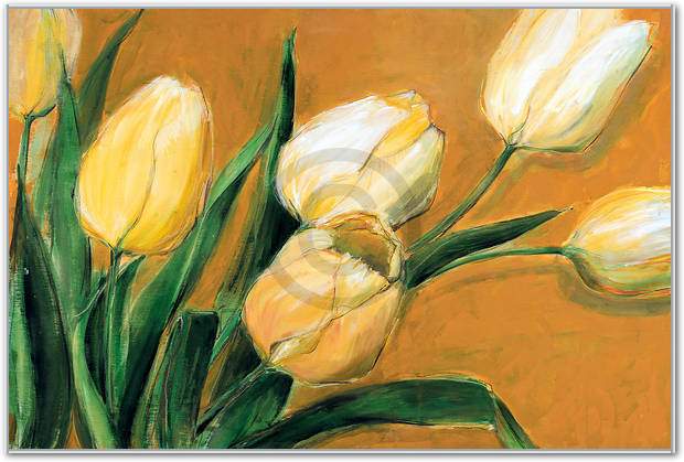 Tulipa Nova                      von Elisabeth Krobs