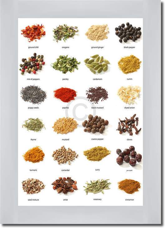 Various Spices                   von Julián Rovagnati