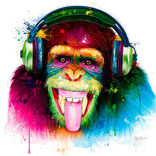 DJ Monkey von Patrice Murciano