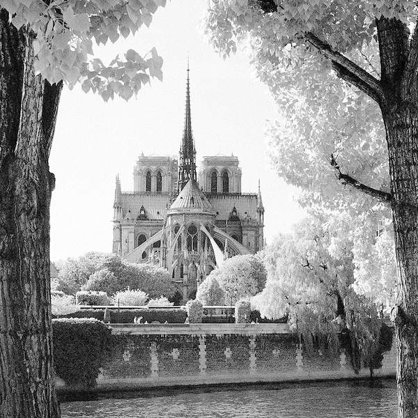 France Paris Notre-Dame von Dave Butcher