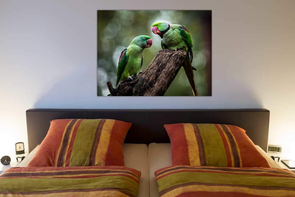 Green Parrot II von Ronin