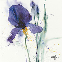 100cm x 100cm Iris I von Marthe, 
