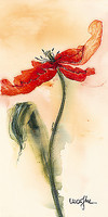 50cm x 100cm Tulipe II von Marthe, 