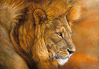 150cm x 105cm Lion du Serengeti von Beck, Danielle